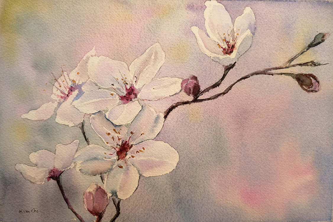Cherry Blossoms #2